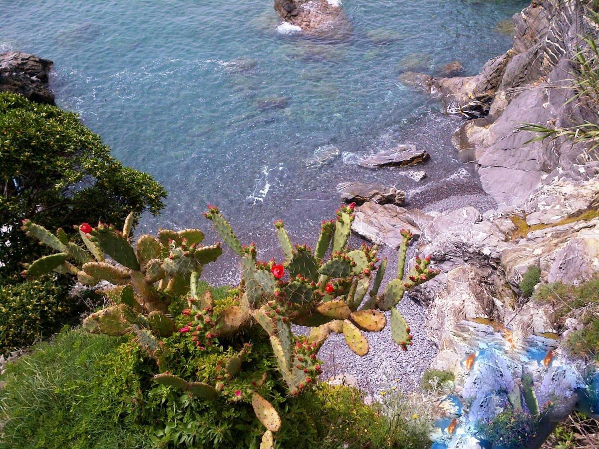 Le Case Di Recco By Holiday World Quarto foto